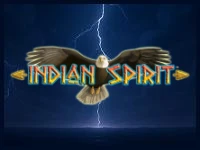 Indian Spirit