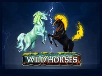 Wild Horses